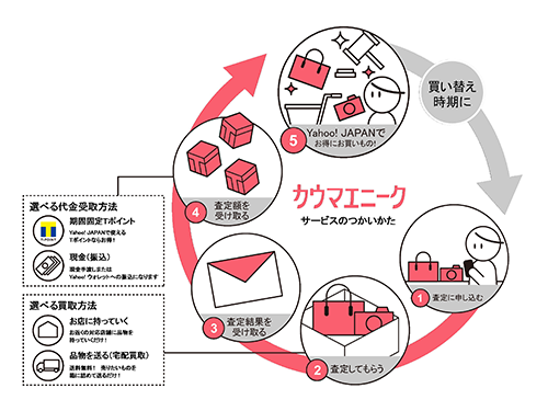 「カウマエニーク」のシステムの流れ
